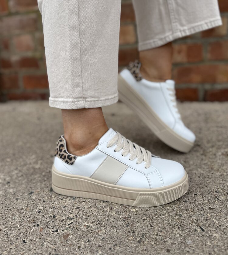 Patrizio Como Maratea