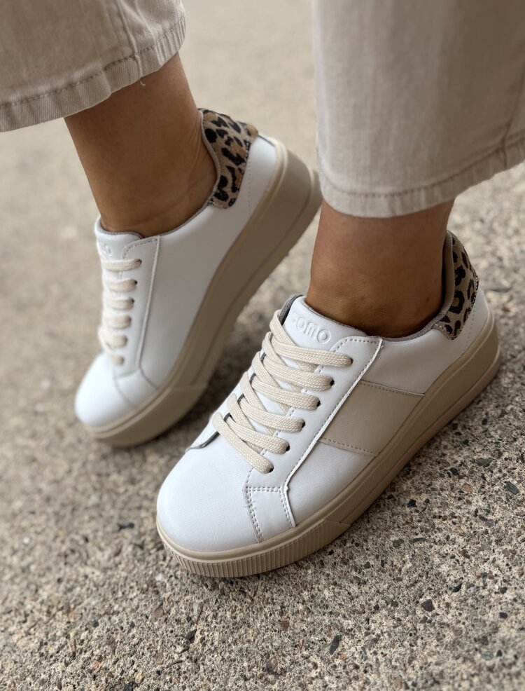 Patrizio Como Maratea