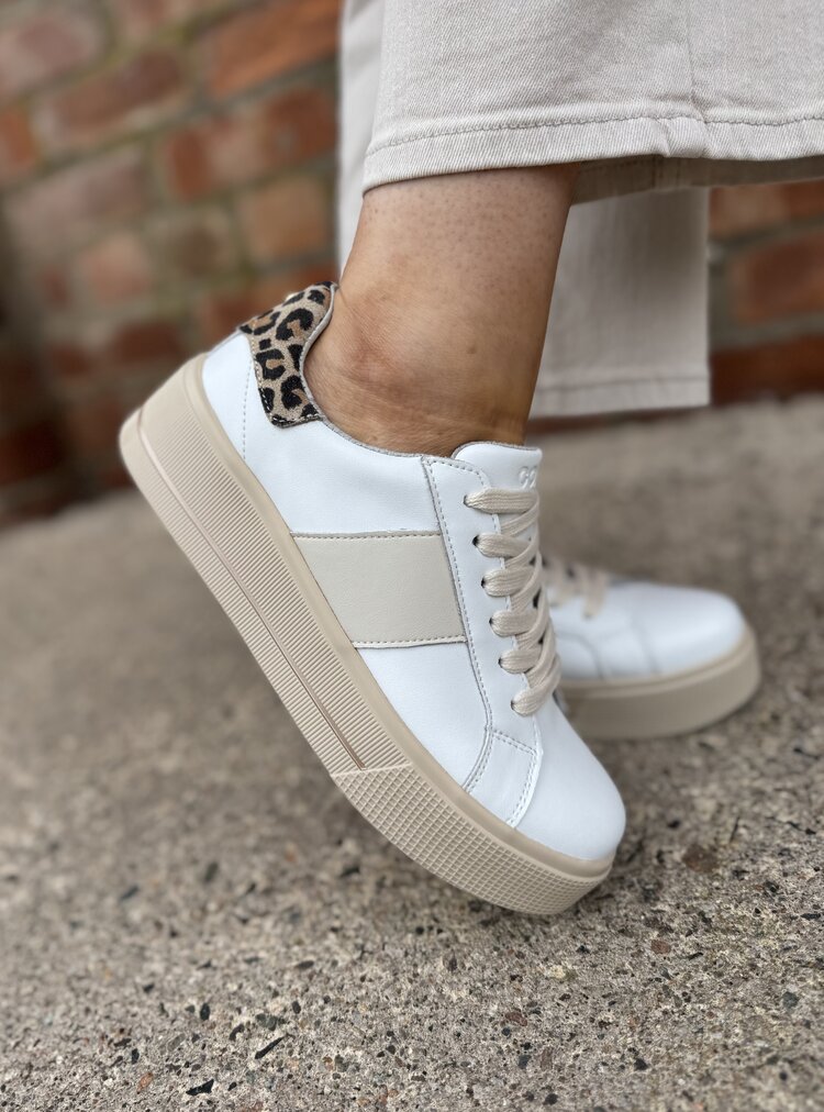 Patrizio Como Maratea