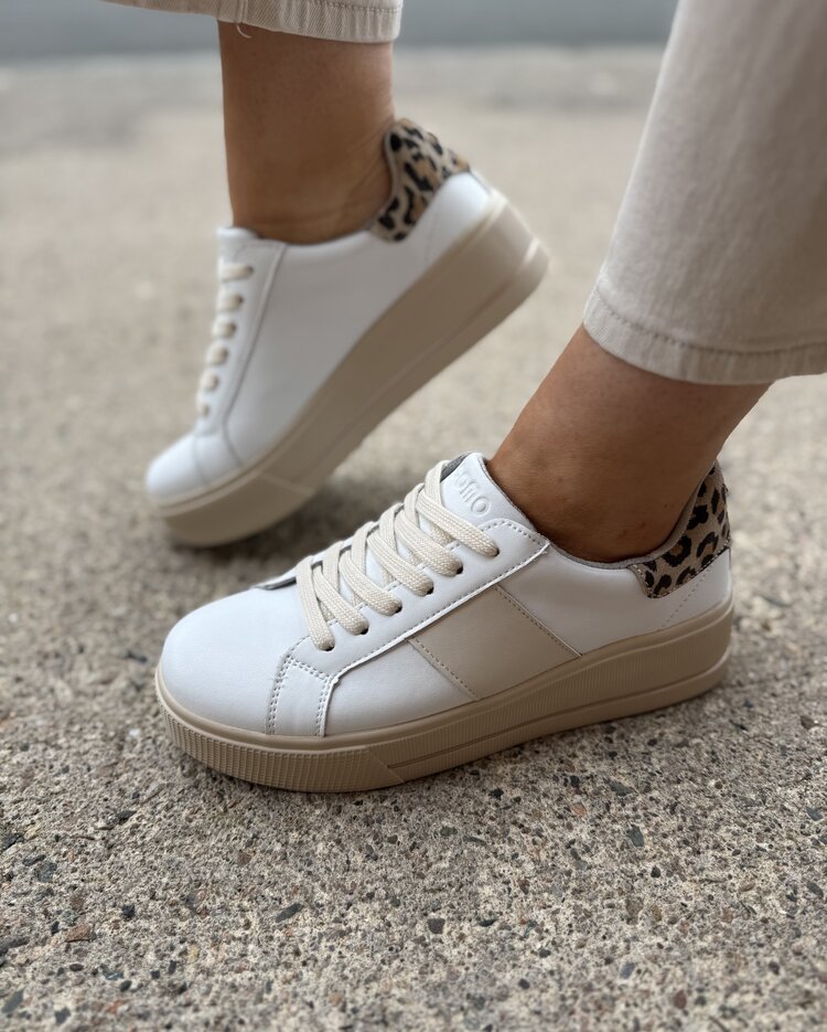 Patrizio Como Maratea