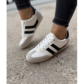 Lloyd & Pryce Tangan