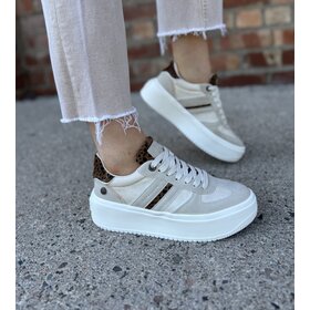 Refresh 172953
