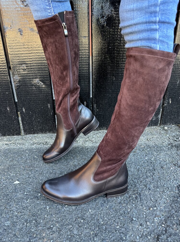 Caprice 25514-41