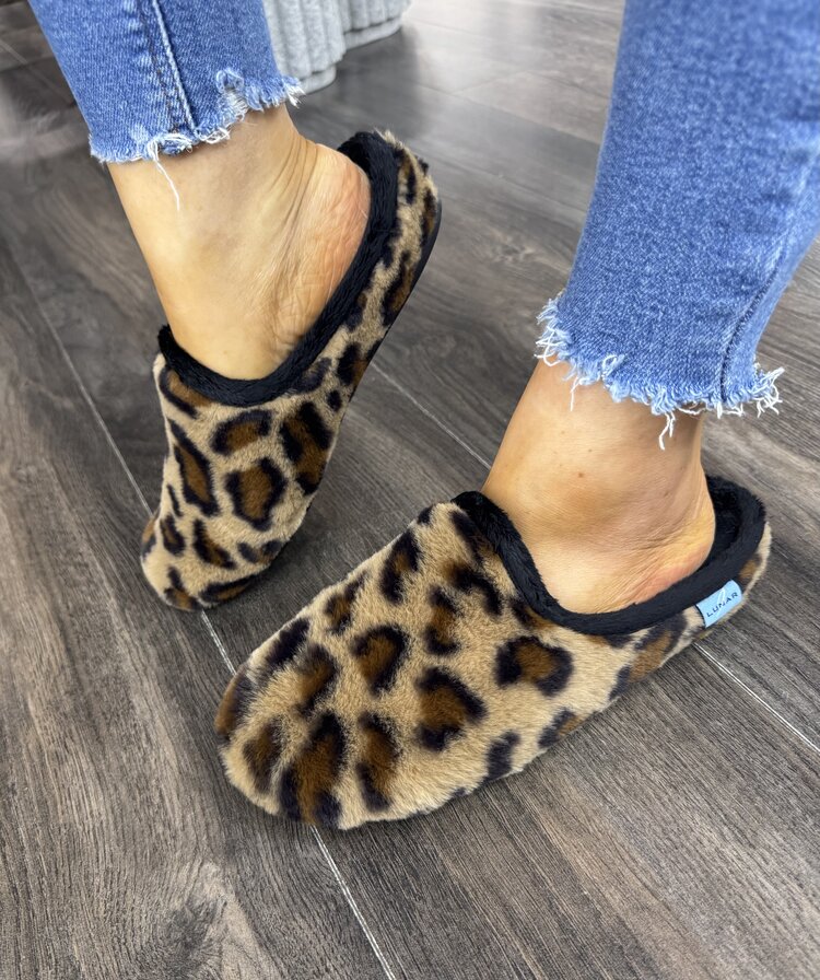 Lunar Celine