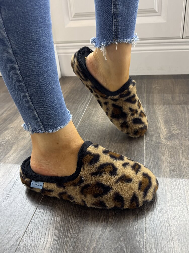 Lunar Celine
