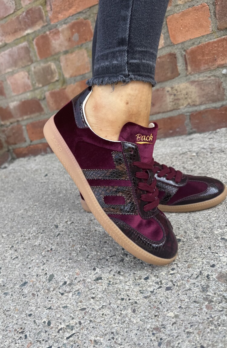 Back70 Cloud FW26-V103