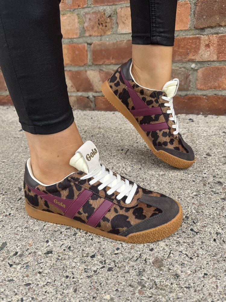 Gola Elan Savanna