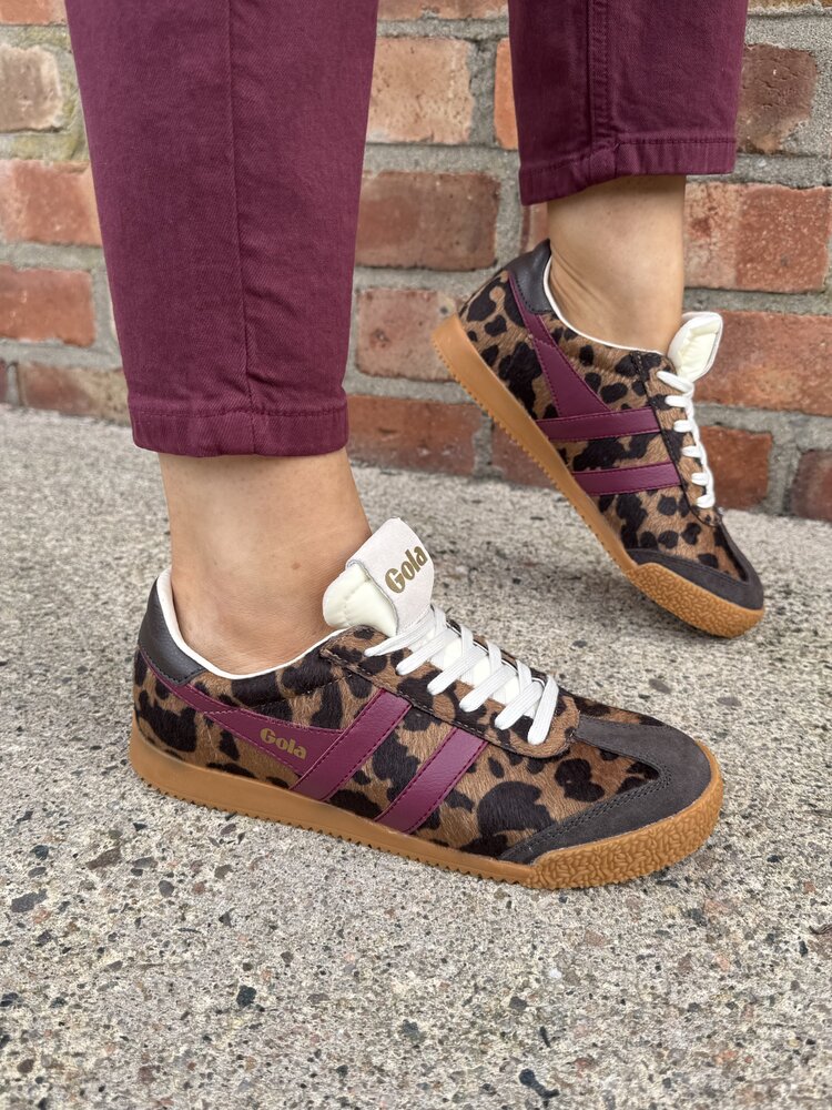 Gola Elan Savanna