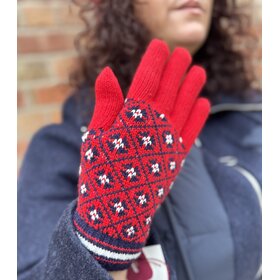 Dents 6-3303 glove