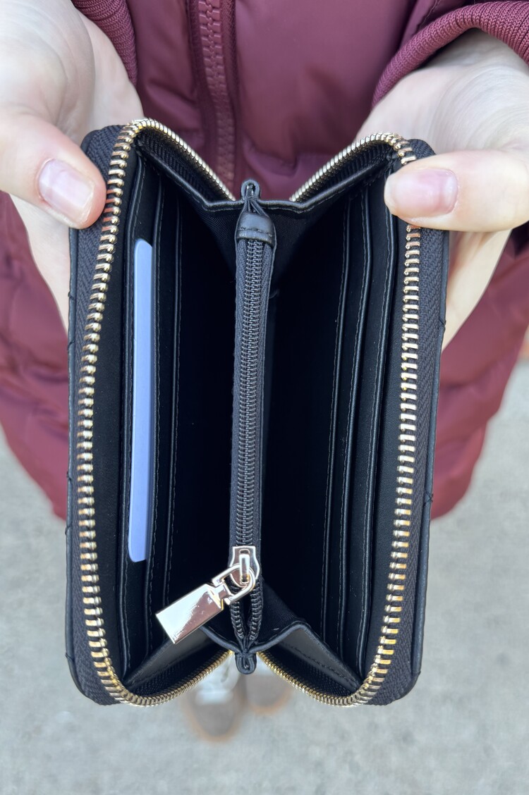Guess Frances SLG Medium Zip Around