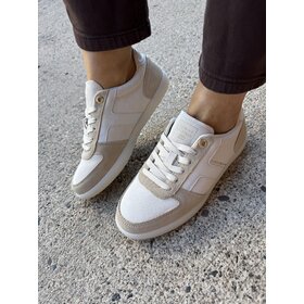 Tommy Hilfiger TH Tribeca Sneaker Suede