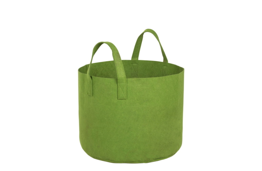 Golden Gbag