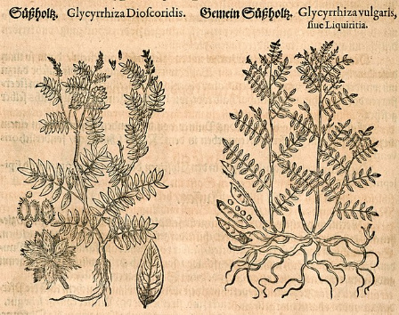 Drop Soorten (400) Alle Soorten Drop op Alfabet