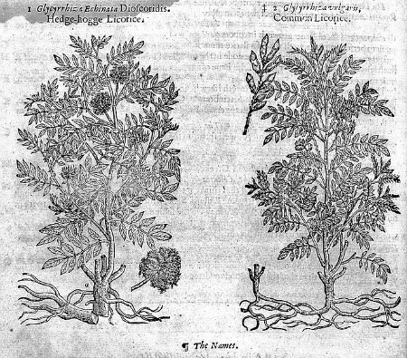 Wat geeft drop zijn zwarte kleur?