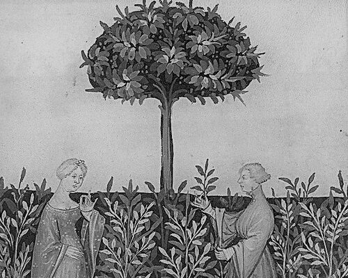 Welke merken drop zijn er allemaal?