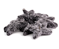 Matthijs Gezouten Zeesterren van Matthijs