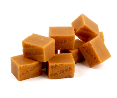 Lonka Karamel Zeezout Fudge van Lonka