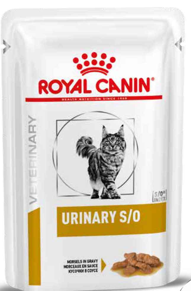 hills urinary cat food vs royal canin