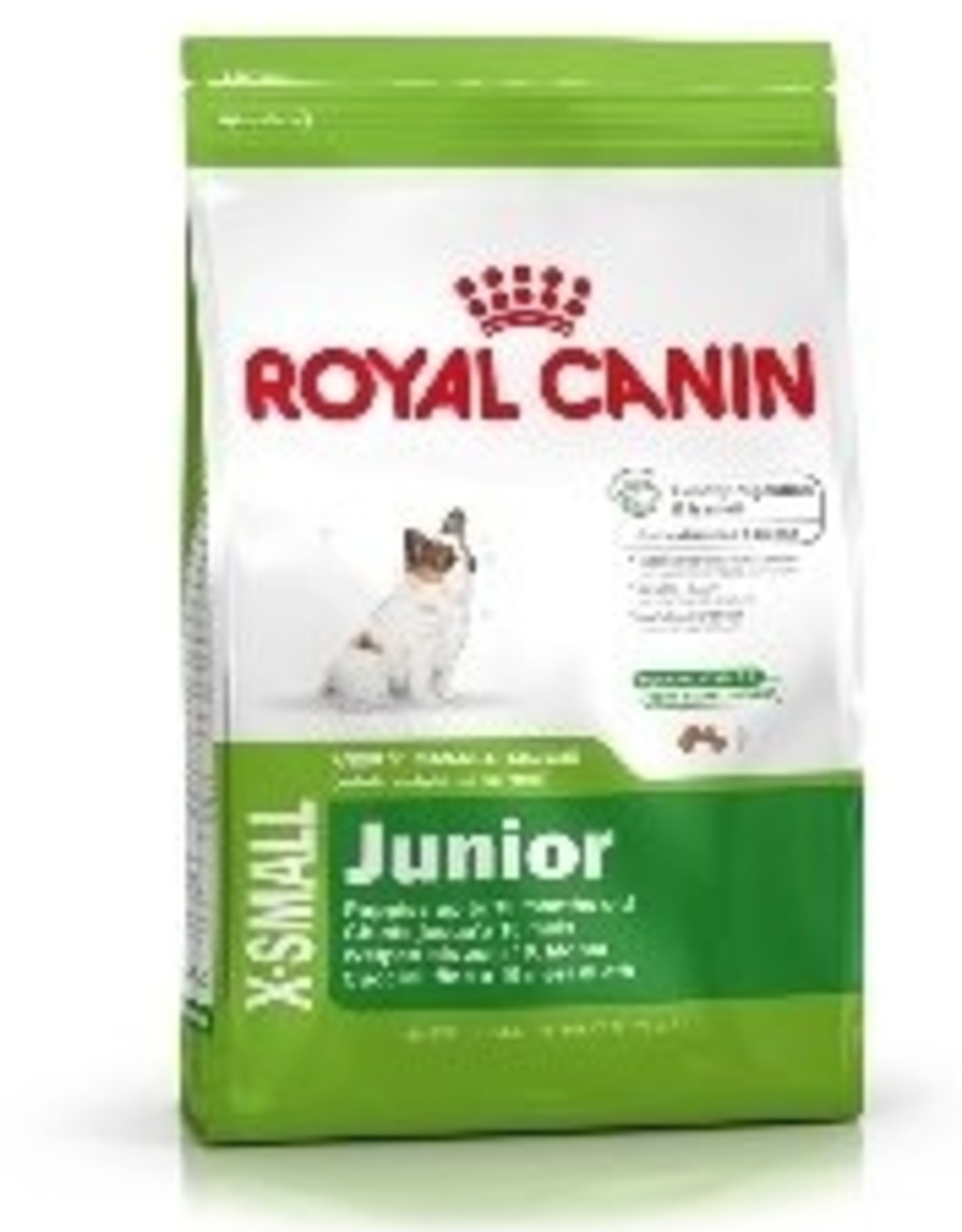 royal canin junior small