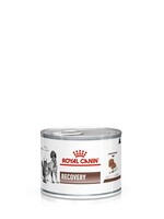 Royal Canin Royal Canin Vdiet Instant Recovery Kat Hond 12x195gr