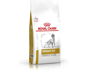 Royal canin sale bladder stones
