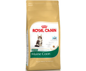 royal canin 36