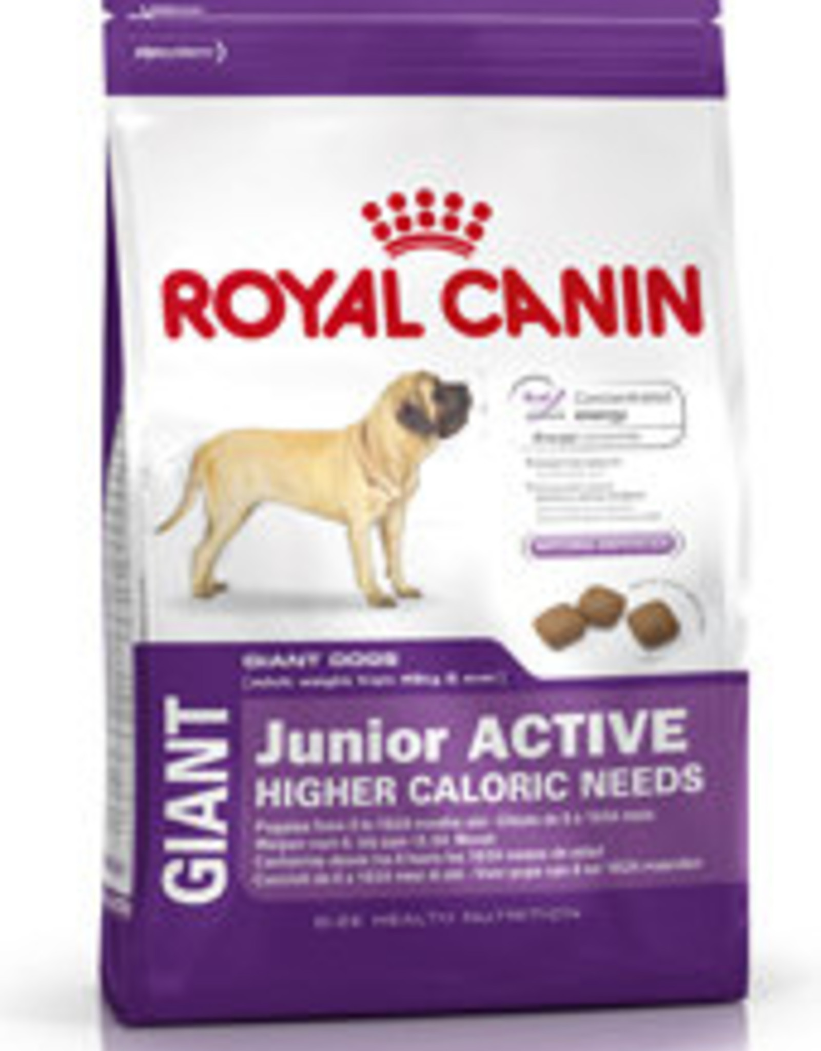 royal canin large junior