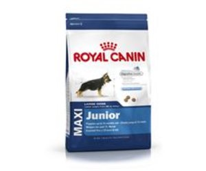 royal canin cat junior