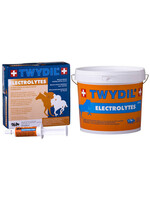 TWYDIL Twydil Electrolytes 10 Spritzen