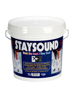 TRM Staysound Clay 1,5kg