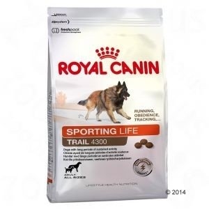 royal canin 4100