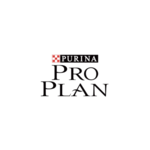 Pro Plan