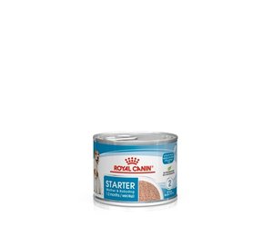 Royal Canin Starter Mousse Petgamma