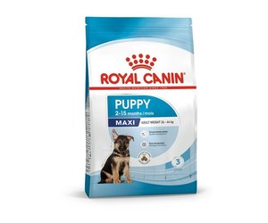 Royal canin deals dog food maxi