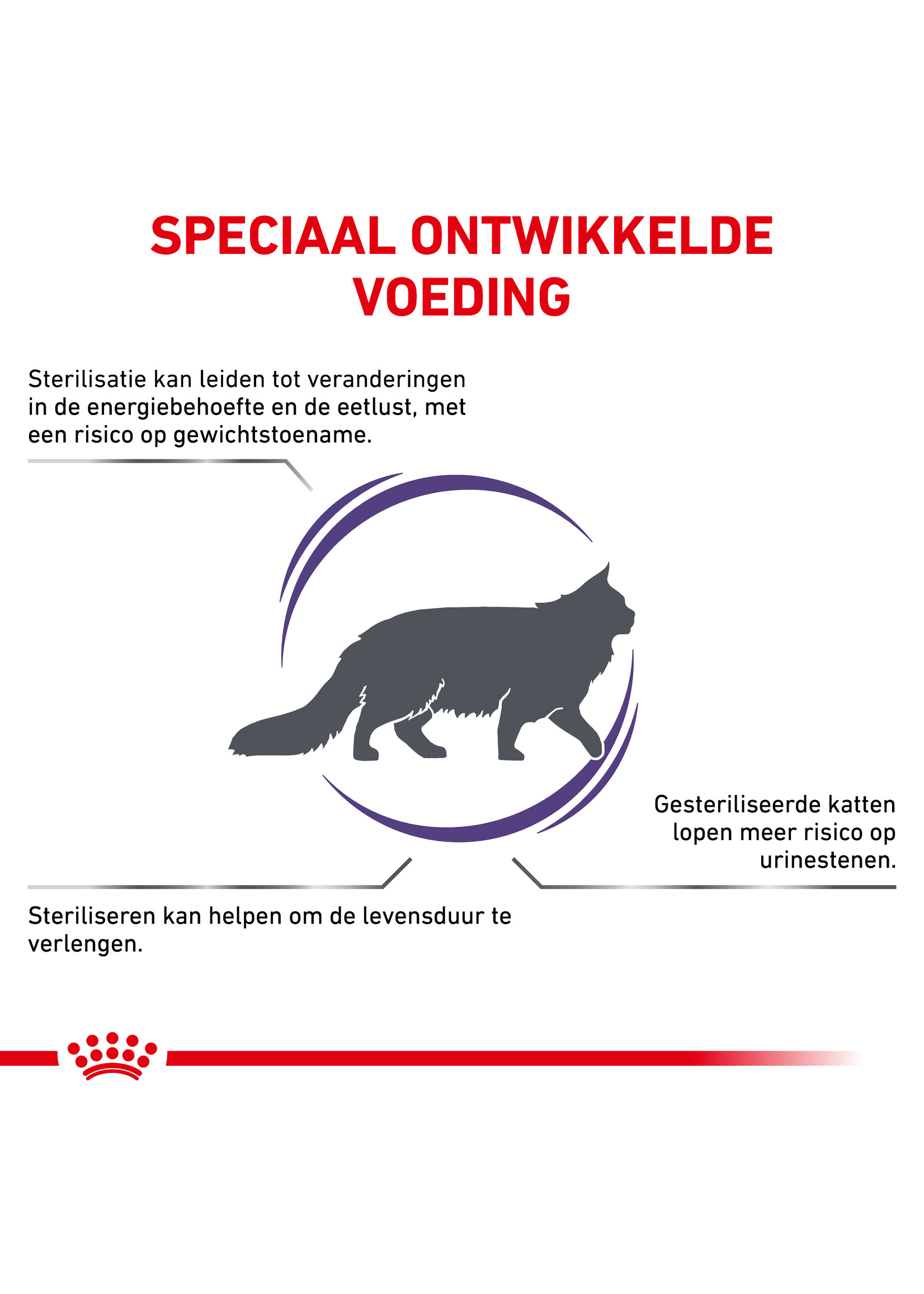 Royal Canin Royal Canin Neutered Satiety Balance Chat