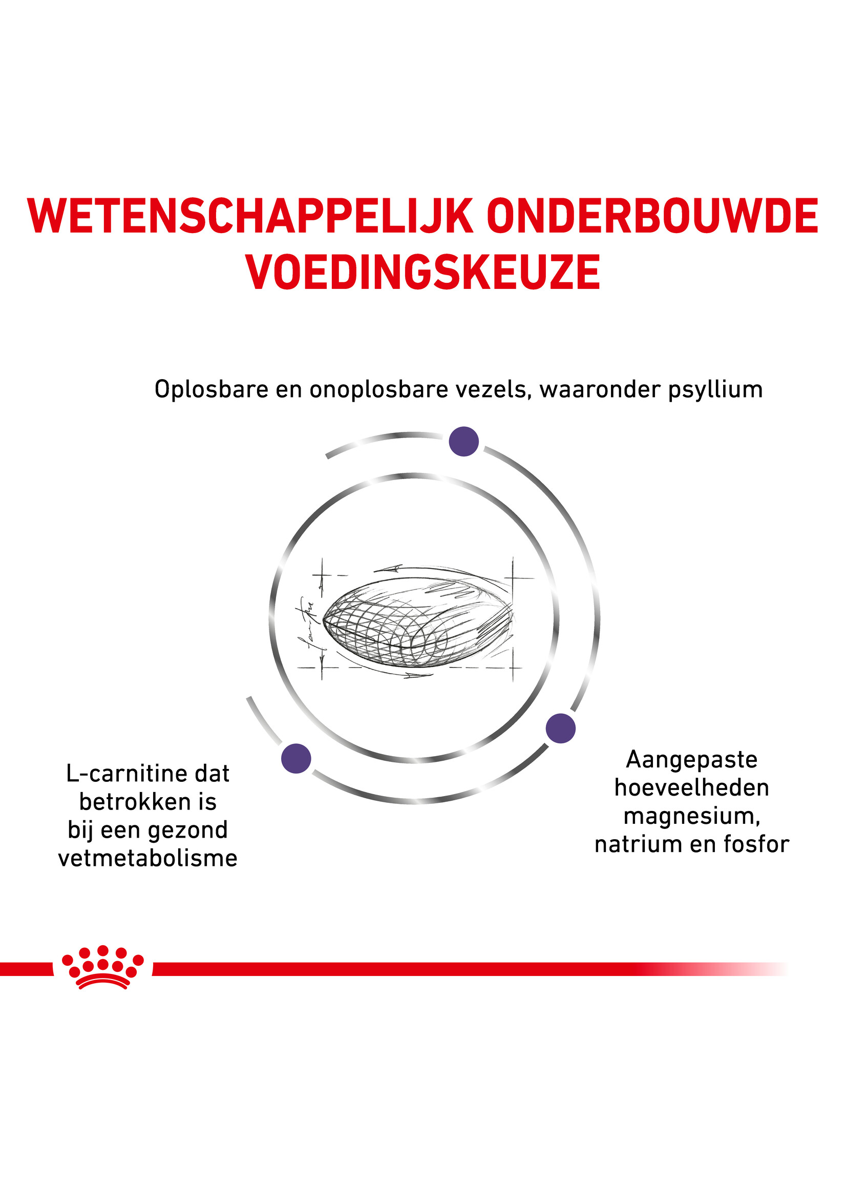 Neutered Satiety Balance