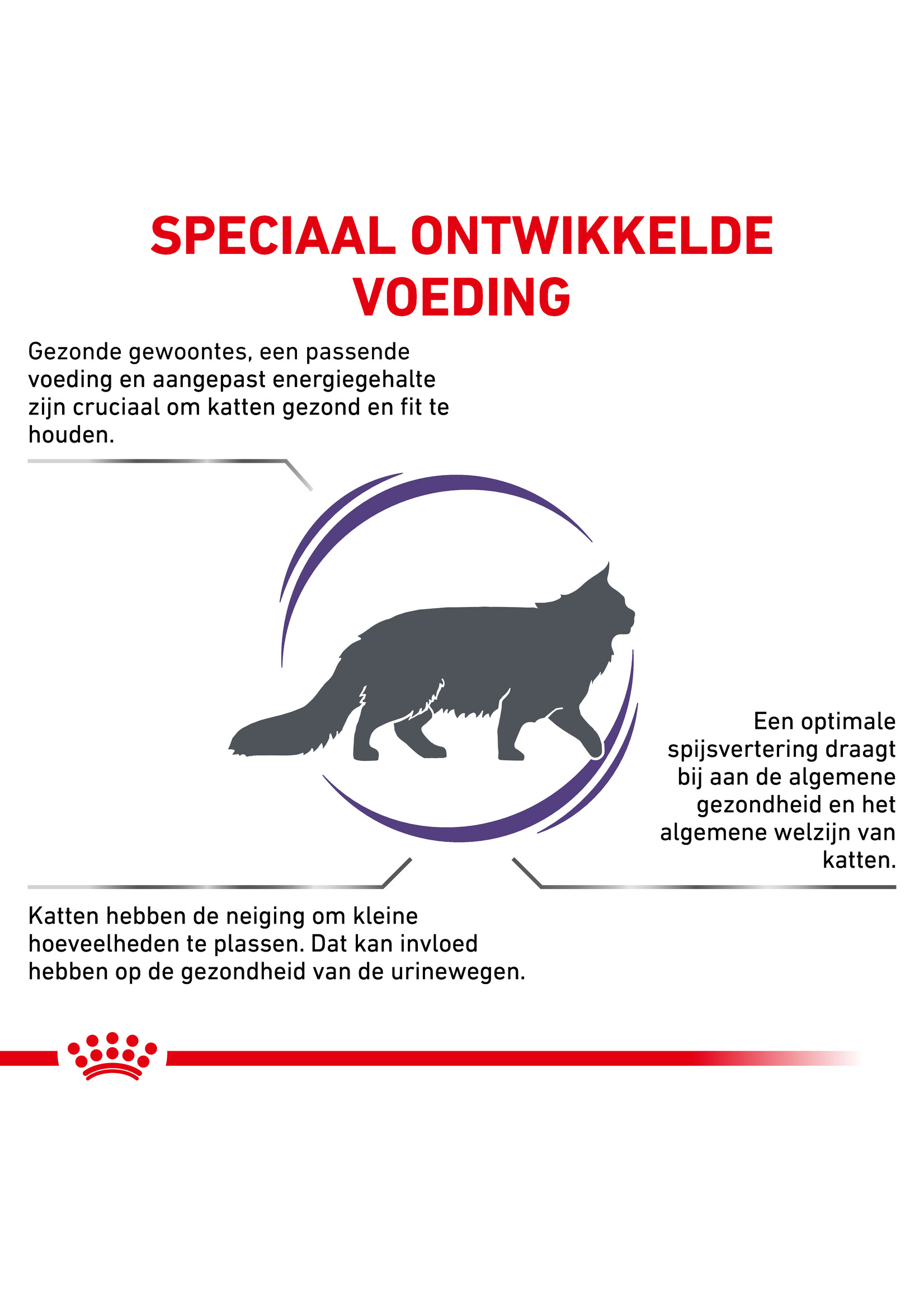 Royal Canin Royal Canin Adult Katze