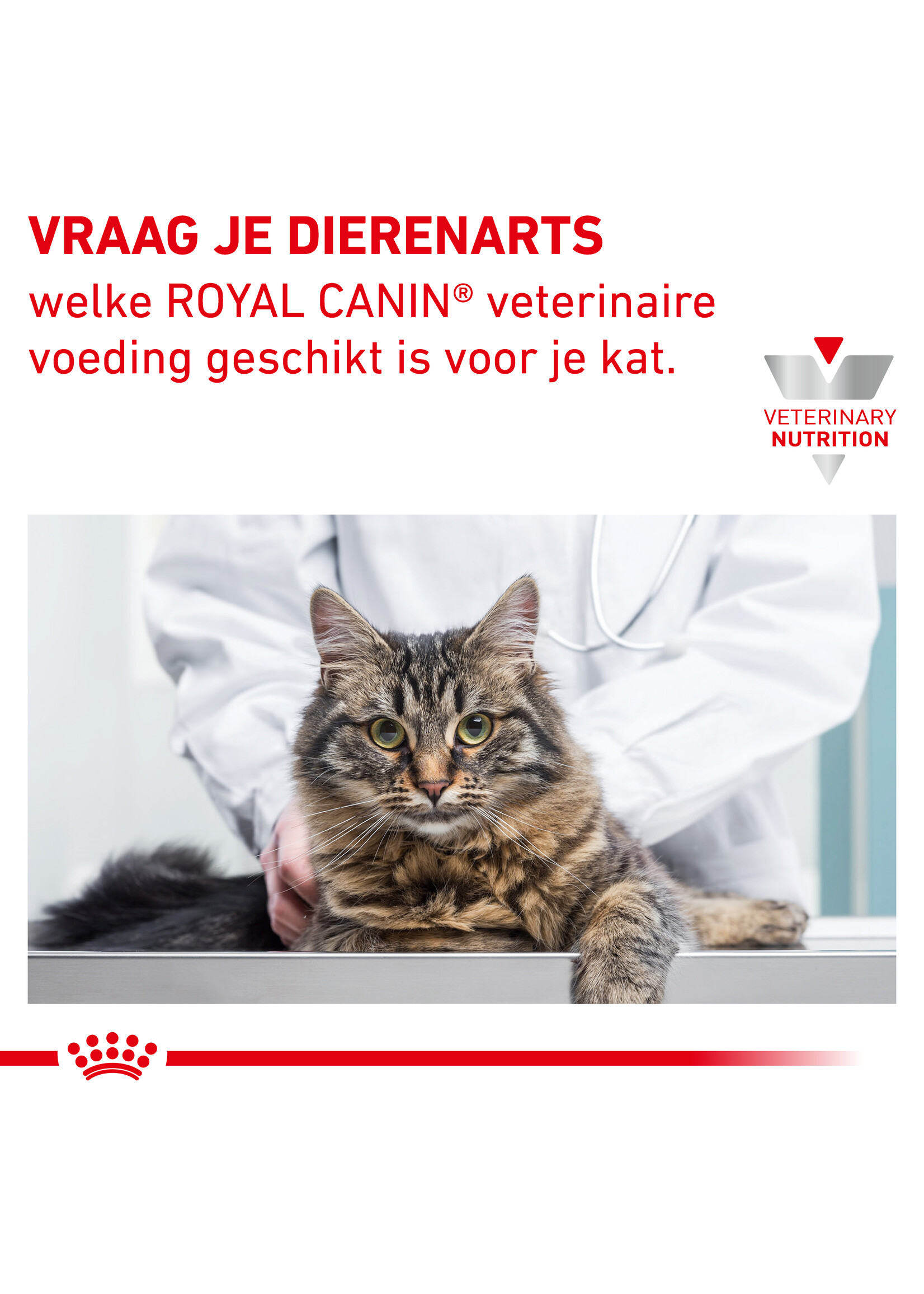 Royal Canin Anallergenic 2kg Petgamma
