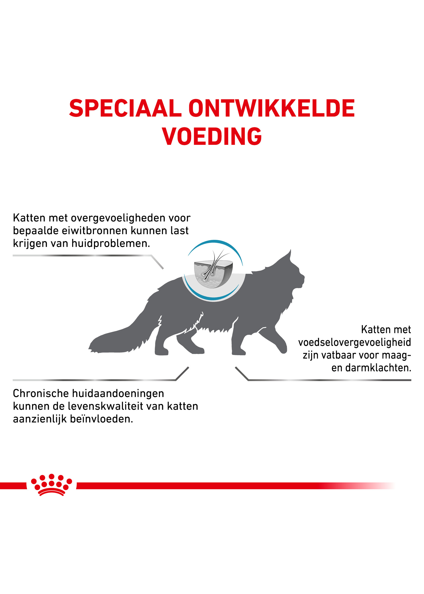 Royal Canin Royal Canin Anallergenic Katze