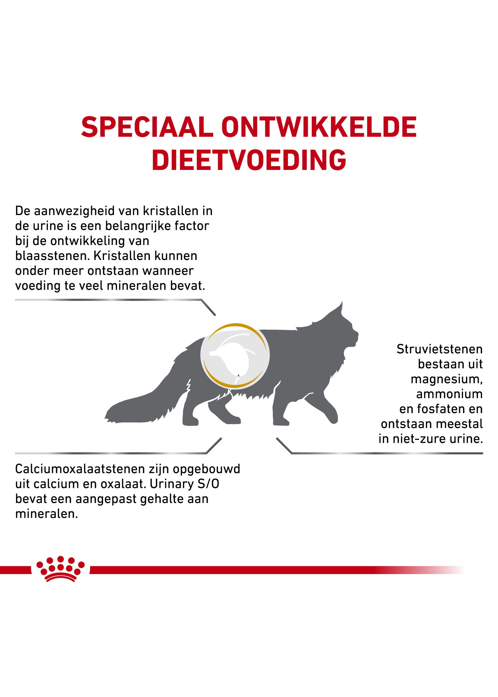 Royal Canin Royal Canin Urinary S/O Katze