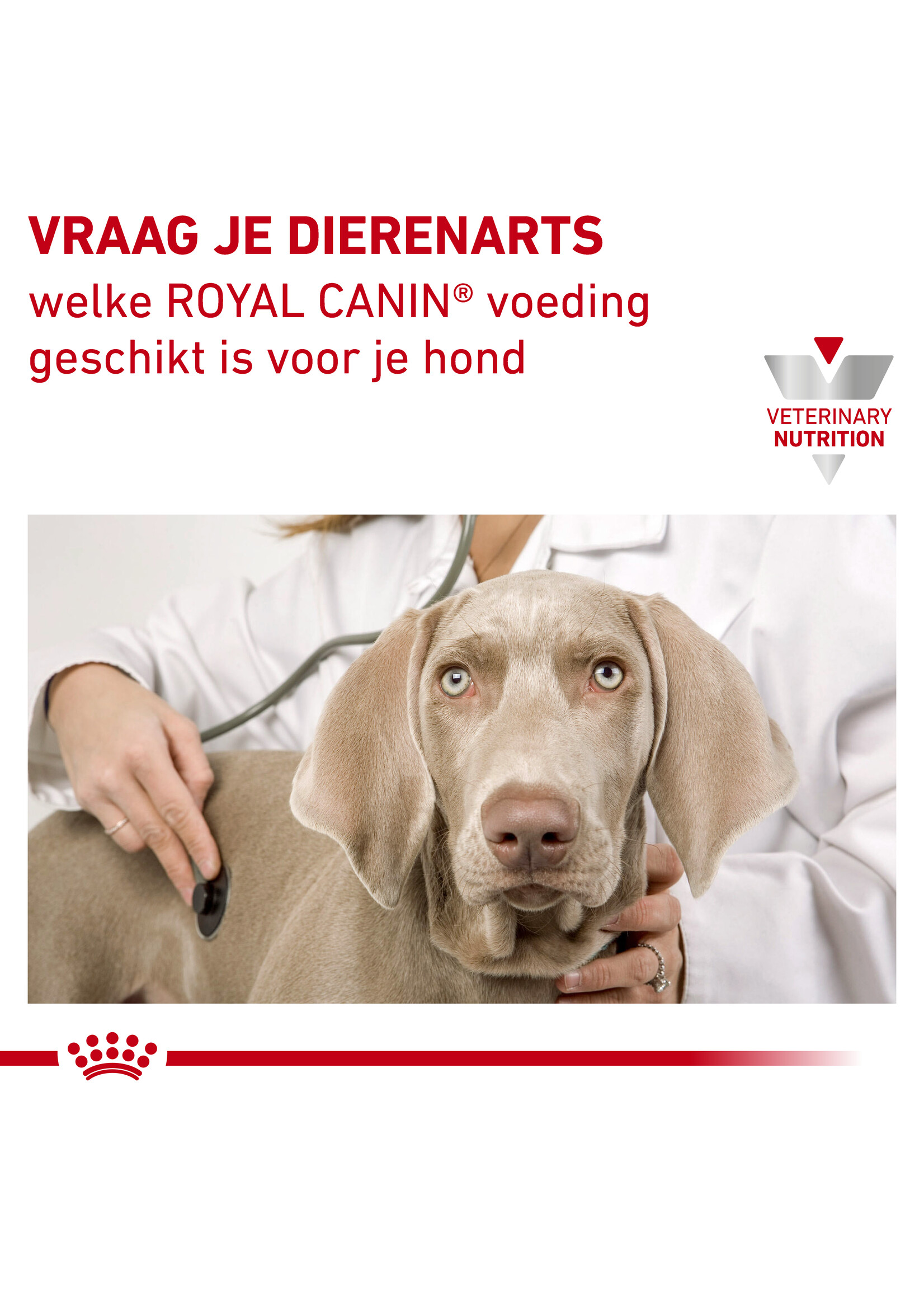 Weimaraner royal canin sale