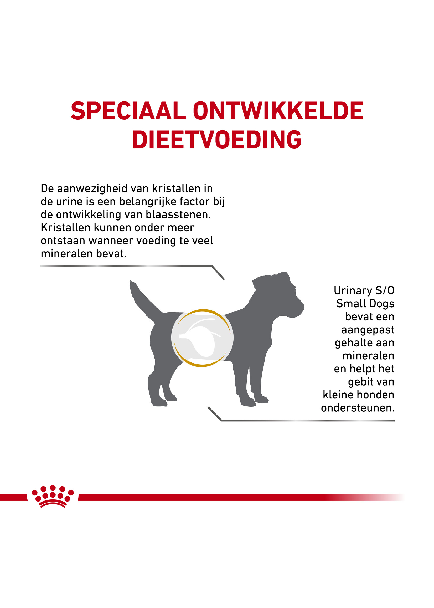 Royal Canin Royal Canin Urinary S/O Small Hund