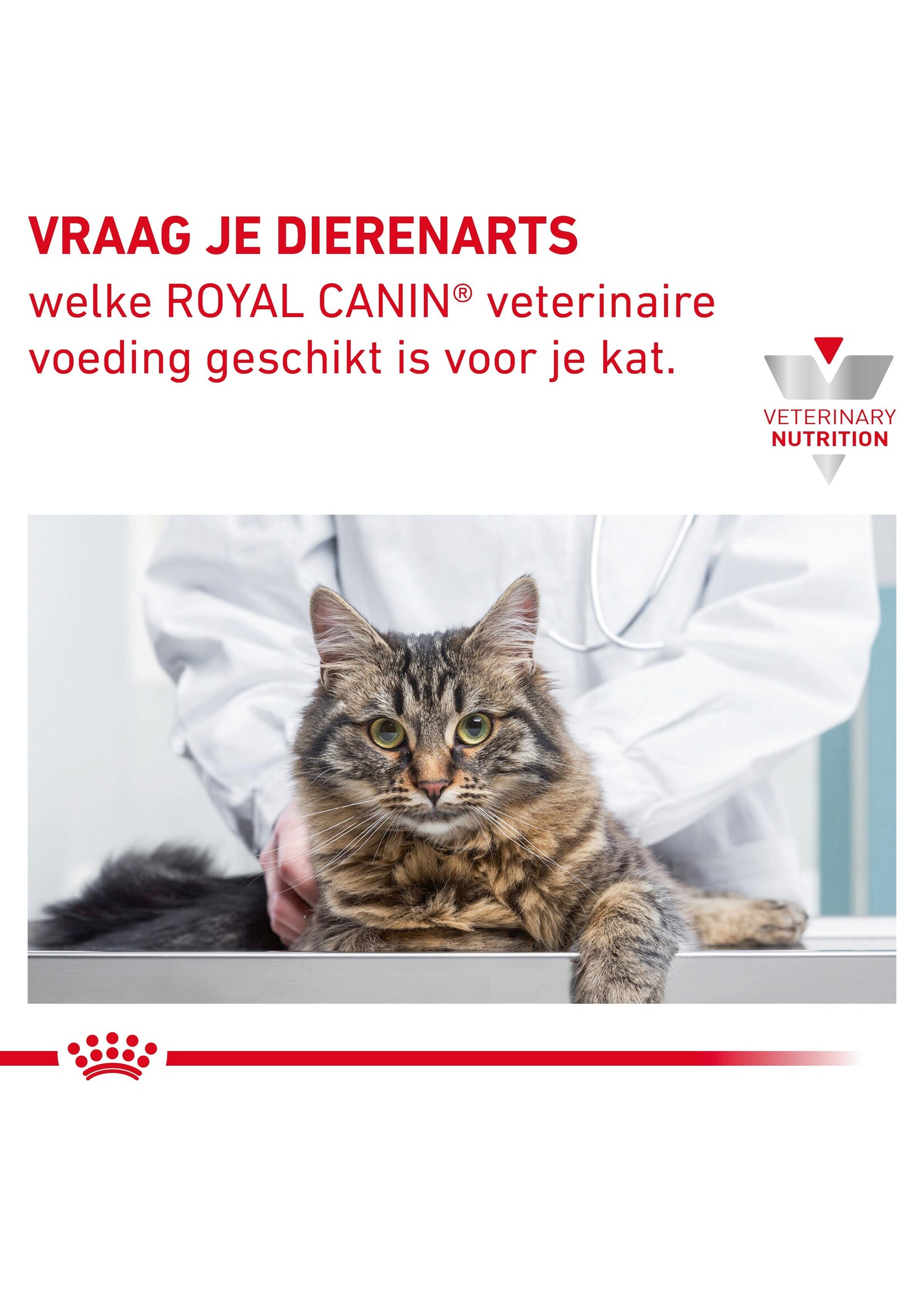 Royal Canin Royal Canin Sensitivity Control Kat - Maaltijdzakjes