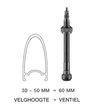 Schwalbe Schwalbe ventiel tubeless 60 mm set 2 stuks