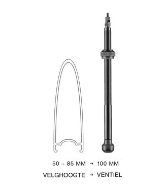 Schwalbe Schwalbe ventiel tubeless 100 mm set 2 stuks