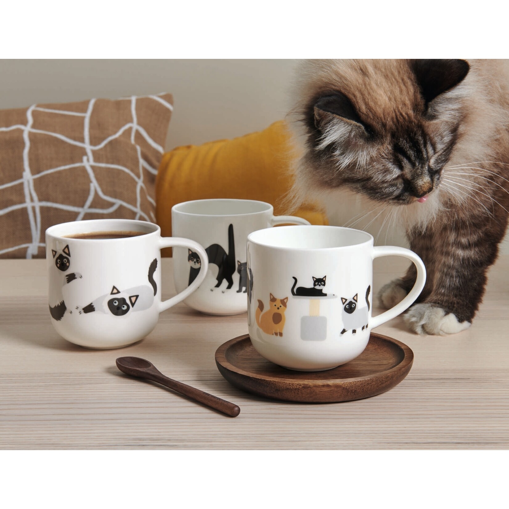 ASA ASA Coppa Katten en Honden Kop Katten Porselein Wit