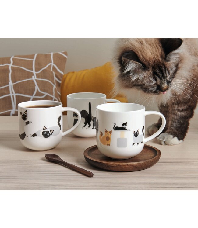ASA ASA Coppa Katten en Honden Kop Katten Porselein Wit