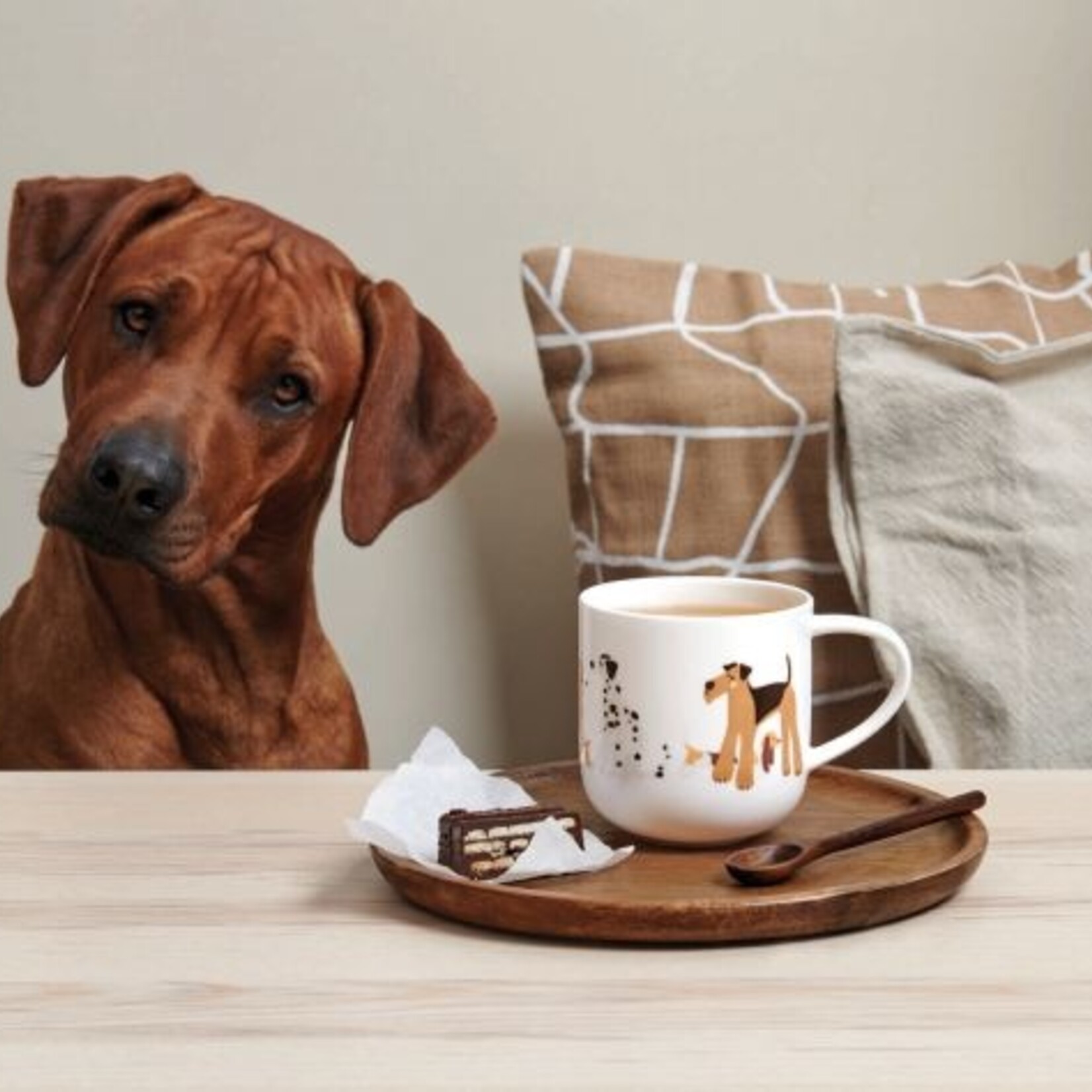 ASA ASA Coppa Katten en Honden Kop Hond Porselein Wit