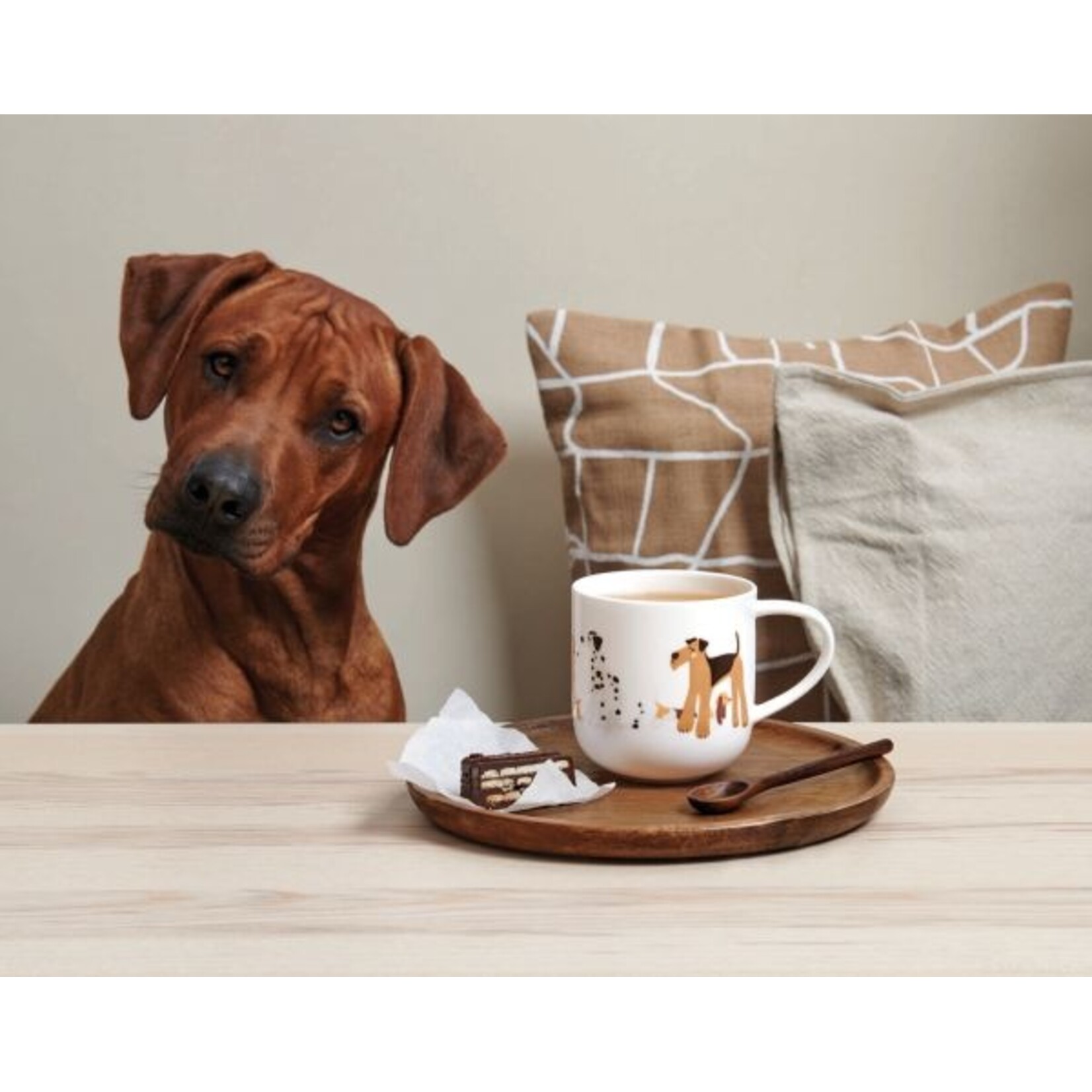 ASA ASA Coppa Katten en Honden Kop Hond Porselein Wit