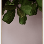 Paper Collective Paper Collective Poster Norm Architects Green Leaves 30x40